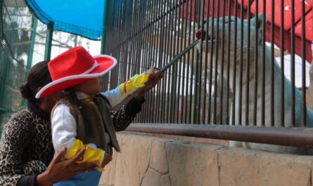 Niños festejan Halloween en el Zoológico de Nuevo Laredo