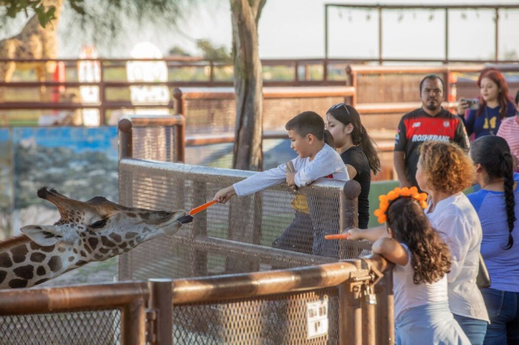 Acuden familias a evento “Recordando a Nuestros Ancestros” en el Zoológico de Nuevo Laredo