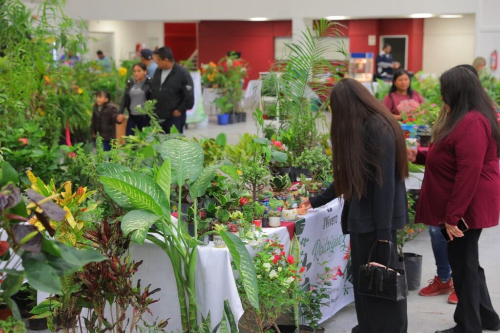 Exponen mercancía más de 40 artesanos y productores locales de Nuevo Laredo