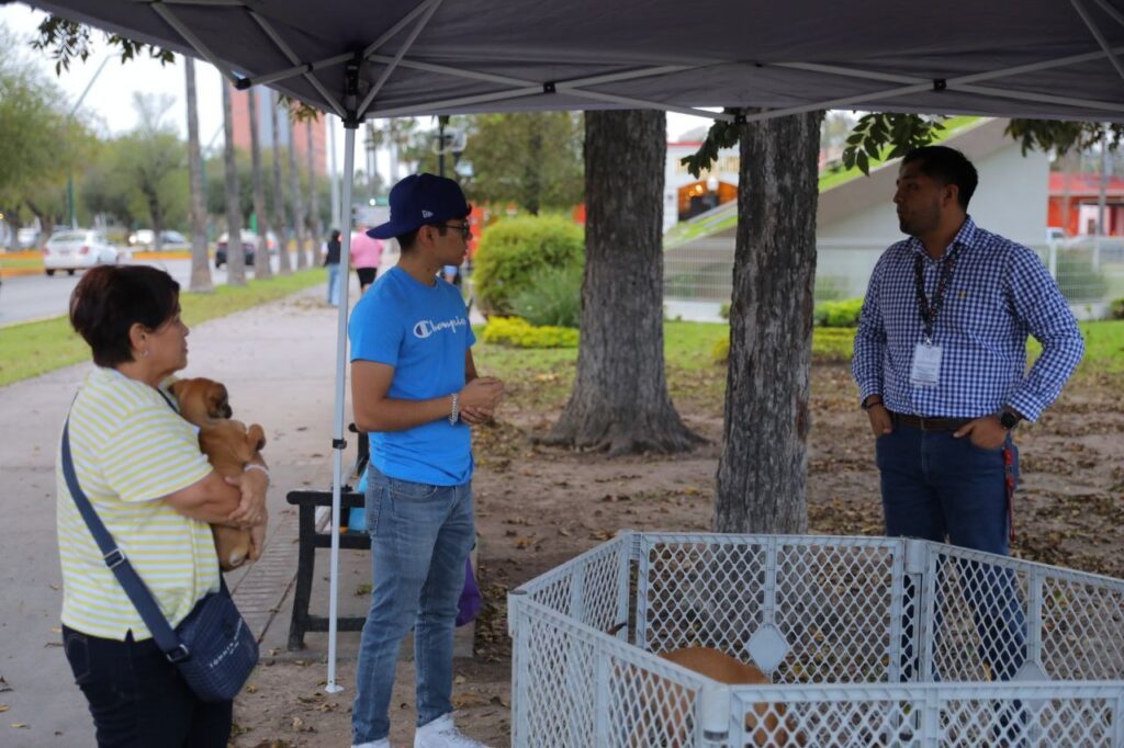 Emprende Gobierno de Nuevo Laredo jornadas de adopción para animales rescatados