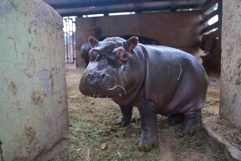 Zoológico de Nuevo Laredo listo para proteger a ejemplares ante cambios de temperatura