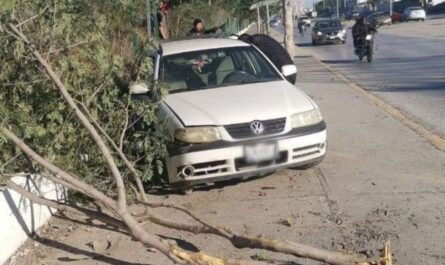 Huye tras estrellar su vehículo contra un árbol en Ciudad Victoria