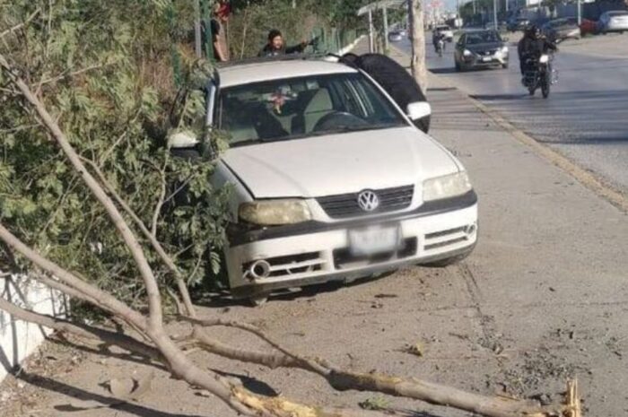 Huye tras estrellar su vehículo contra un árbol en Ciudad Victoria