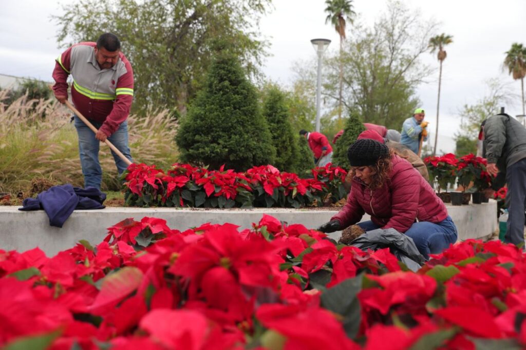 Llega la Navidad a Nuevo Laredo; decora Gobierno Municipal espacios públicos