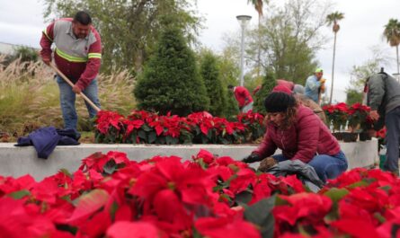 Llega la Navidad a Nuevo Laredo; decora Gobierno Municipal espacios públicos