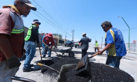 Atiende Servicios Públicos Primarios de Nuevo Laredo reportes de bacheo