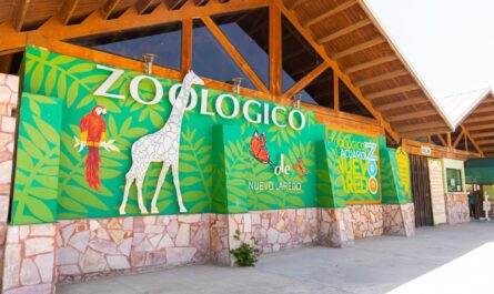 Prepara Zoológico de Nuevo Laredo “Mágica Navidad”