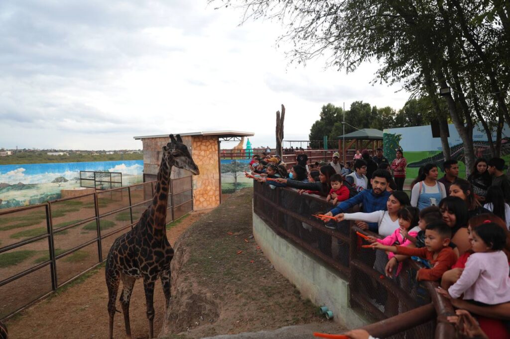 Disfrutan neolaredenses “Mágica Navidad” en el Zoológico