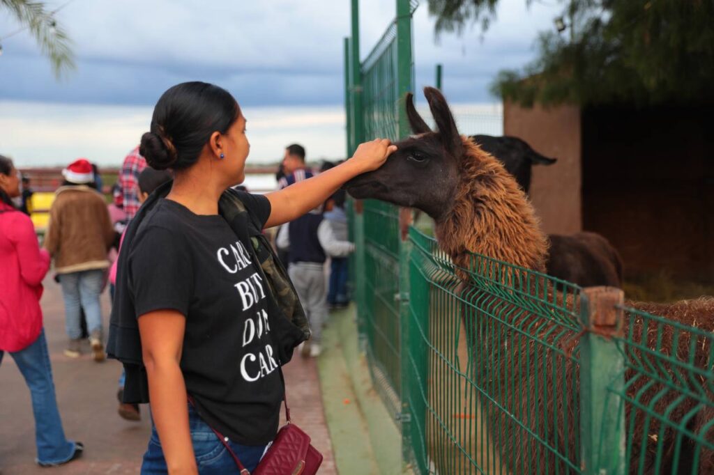 Disfrutan neolaredenses “Mágica Navidad” en el Zoológico