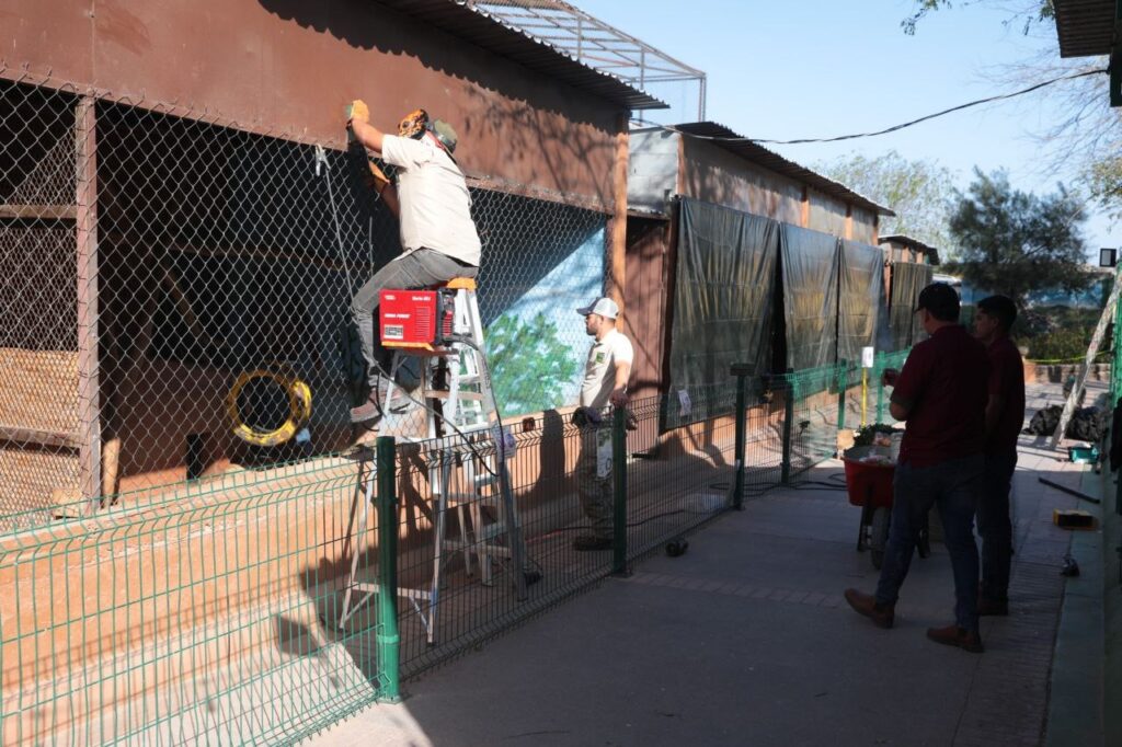 Implementa Zoológico de Nuevo Laredo medidas preventivas ante frente frío 25