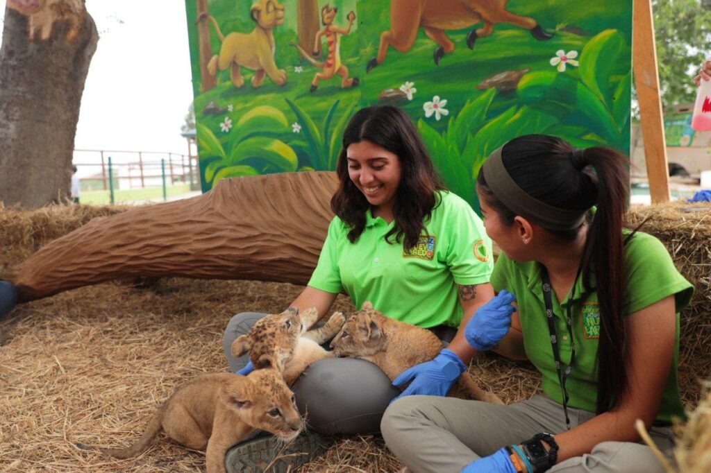 Abren convocatoria para programa “Zoomos Voluntarios” en Nuevo Laredo