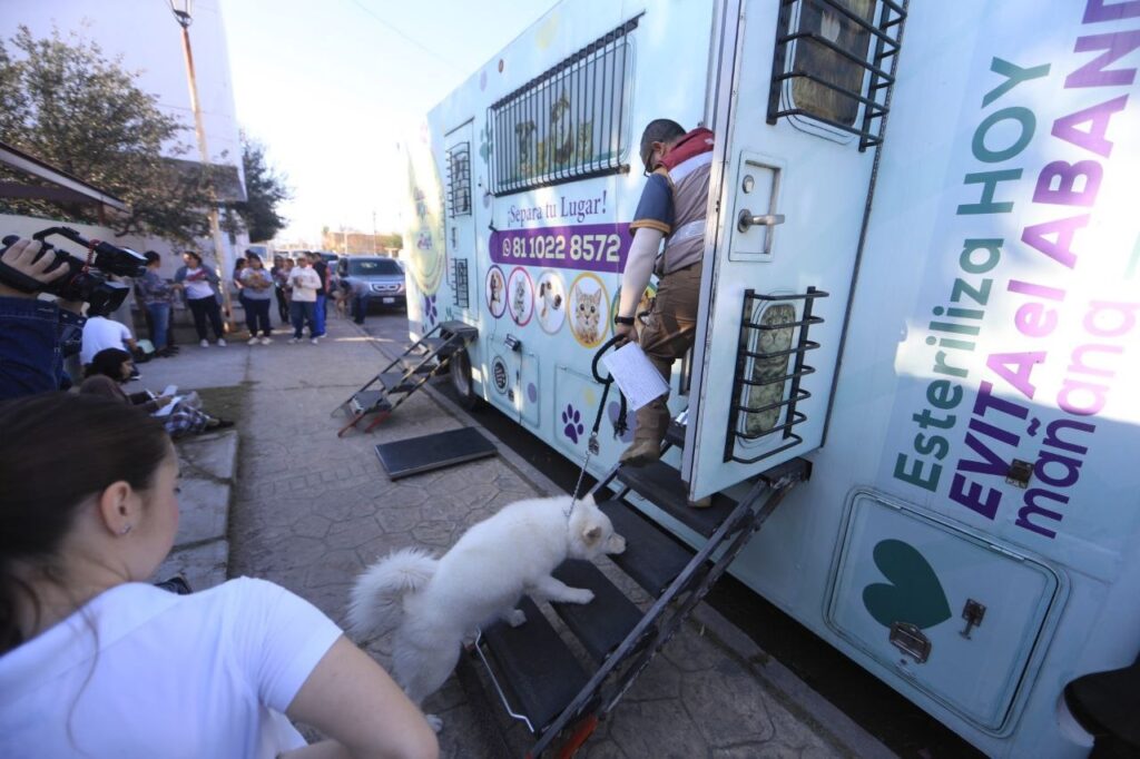 Arranca sexta campaña municipal de esterilización gratuita en Nuevo Laredo