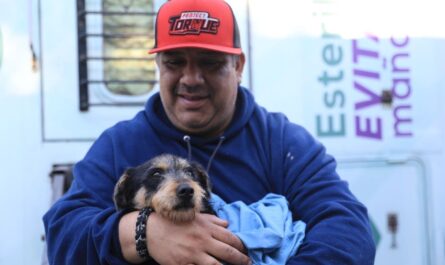 Arranca sexta campaña municipal de esterilización gratuita en Nuevo Laredo