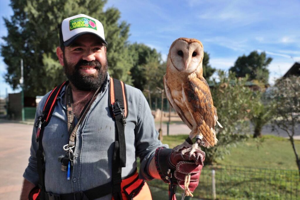 Controlan plaga de palomas en el Zoológico de Nuevo Laredo