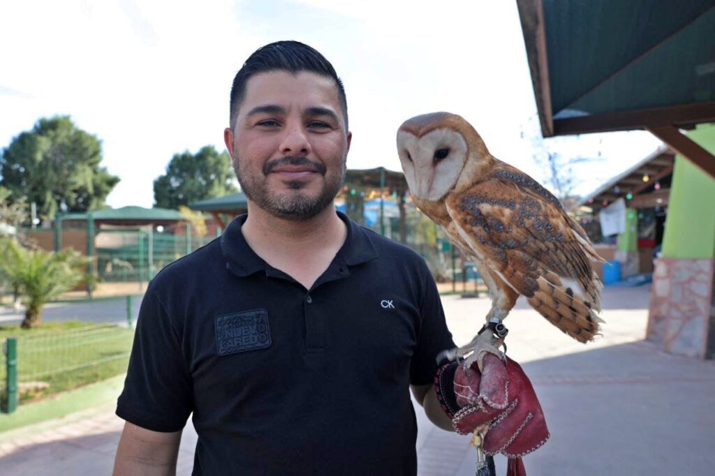 Controlan plaga de palomas en el Zoológico de Nuevo Laredo