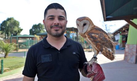 Controlan plaga de palomas en el Zoológico de Nuevo Laredo