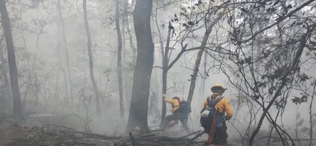 Van 190 hectáreas consumidas en incendio en la sierra de Hidalgo