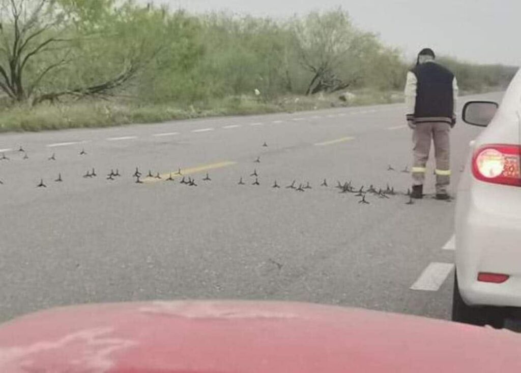 Enfrentamiento en Reynosa deja dos abatidos; aseguran armas y vehículos