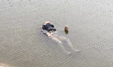 Descubren cadáver de joven varón en el canal Rodhe de Reynosa