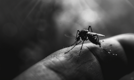 Aumenta preocupación por casos de dengue en Tamaulipas