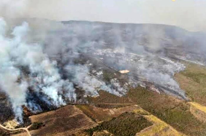 Incendio arrasa con 180 hectáreas en la sierra de Hidalgo, Tamaulipas