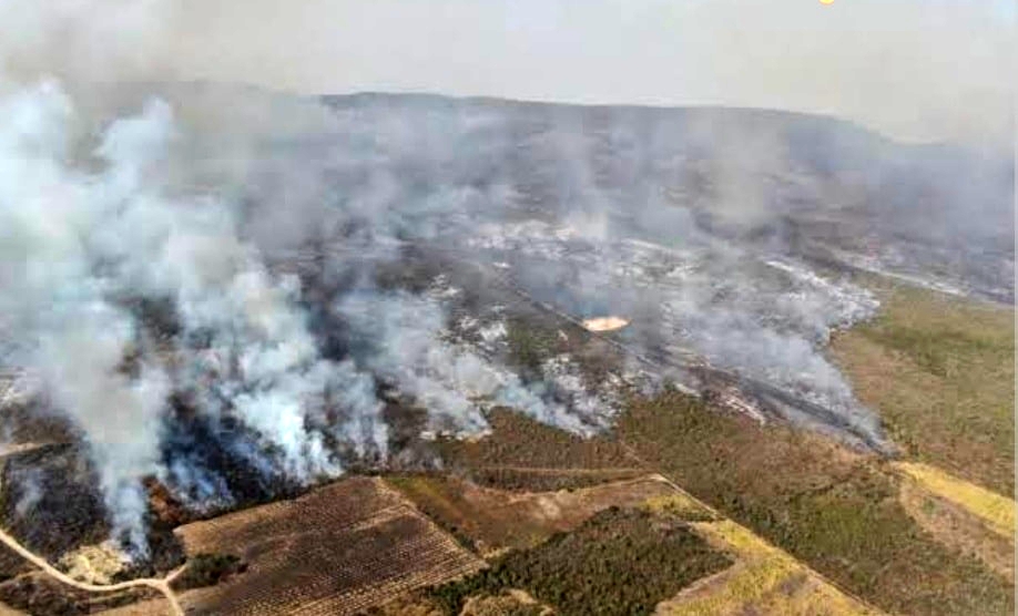 incendio arrasa con 180 hectareas en hidalgo tamaulipas