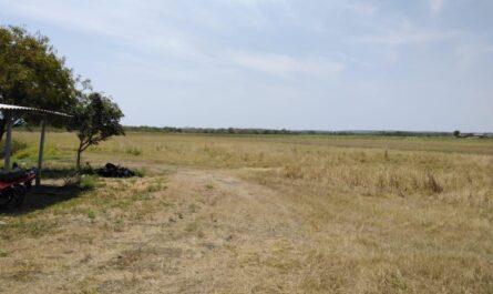 Autoridades investigan venta ilegal de lotes en Ciudad Victoria