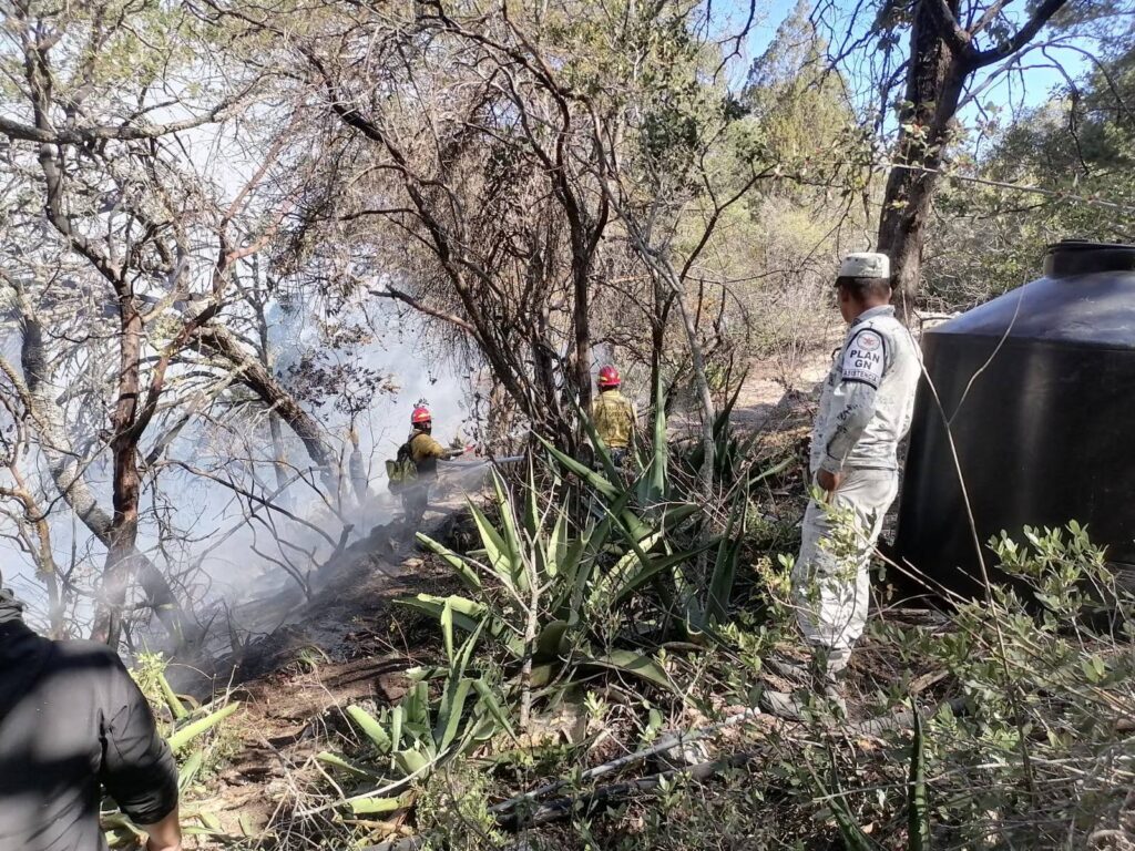 Alerta en Tamaulipas: incendios consumen 800 hectáreas