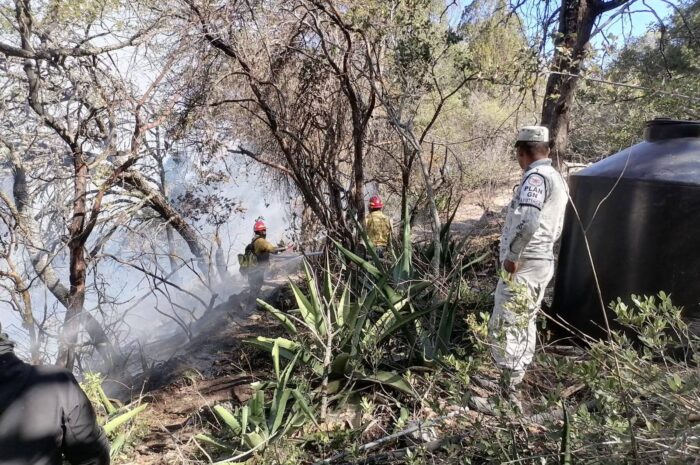 Alerta en Tamaulipas: incendios consumen 800 hectáreas