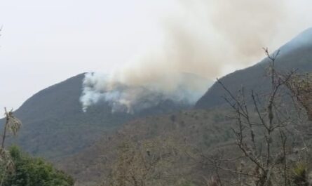 Cables de alta tensión de CFE provocan incendios forestales en Tamaulipas