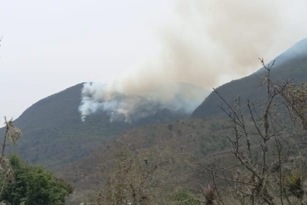 Cables de alta tensión de CFE provocan incendios forestales en Tamaulipas