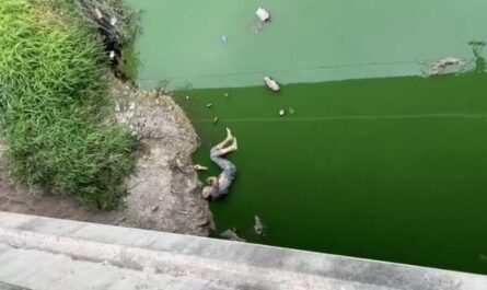 Hallan cuerpo sin vida en el canal Anzaldúas de Reynosa