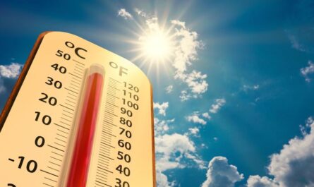 Pronostican temperaturas de hasta 40 grados en Tamaulipas para hoy