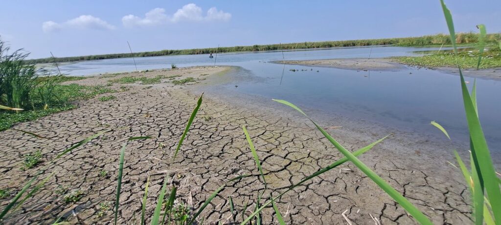 Crisis hídrica en Tampico: Niveles en lagunas los más bajos en 80 años