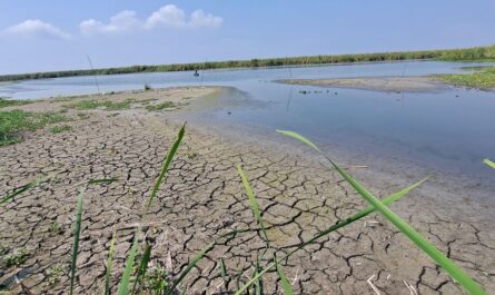 Crisis hídrica en Tampico: Niveles en lagunas los más bajos en 80 años