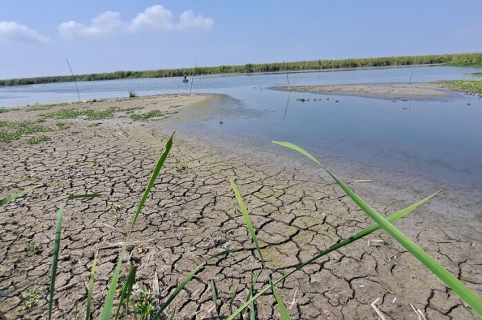 Crisis hídrica en Tampico: Niveles en lagunas los más bajos en 80 años