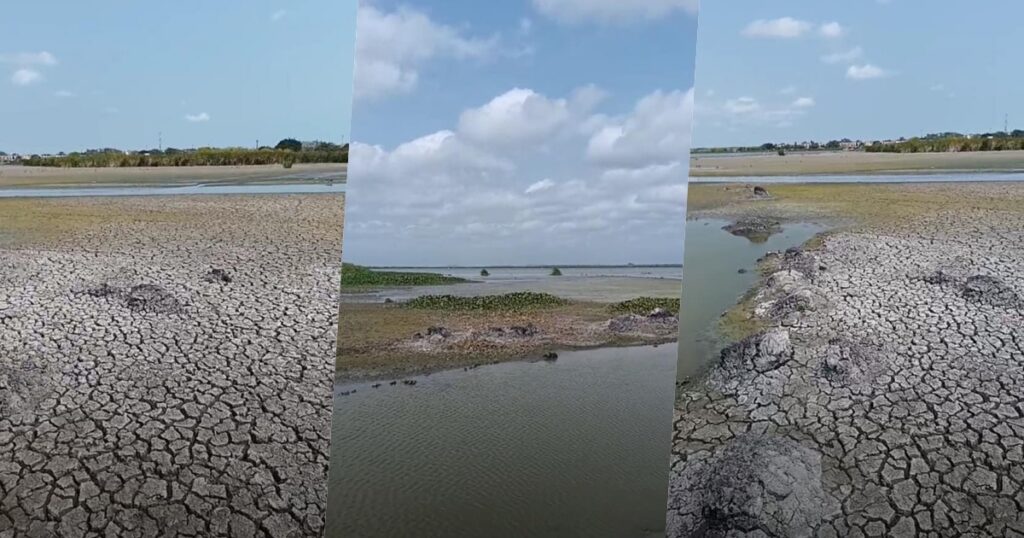 Tampico considera aplicar multas por desperdiciar agua