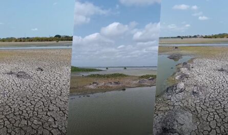 Tampico considera aplicar multas por desperdiciar agua