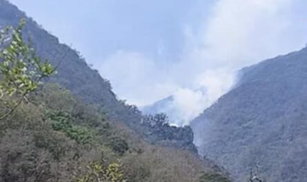 Se registra nuevo incendio forestal, ahora en Jaumave