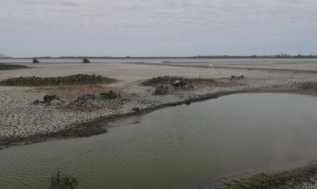 Clausuran tomas ilegales de agua en Laguna del Champayán y río Tamesí