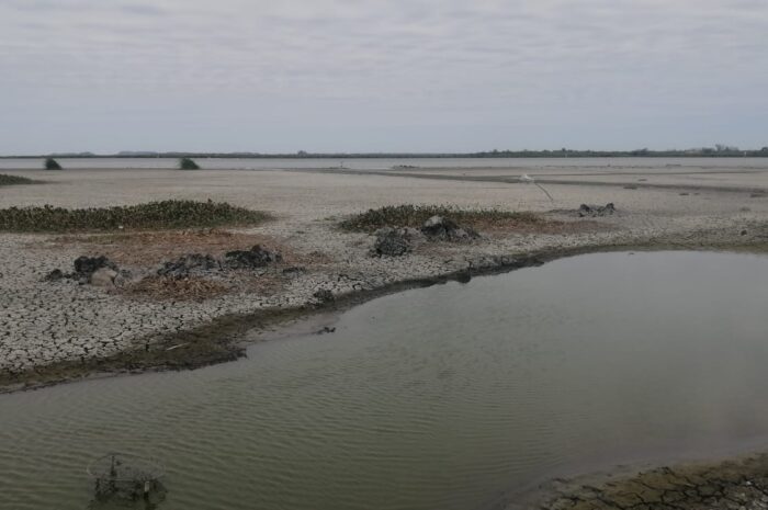 Clausuran tomas ilegales de agua en Laguna del Champayán y río Tamesí