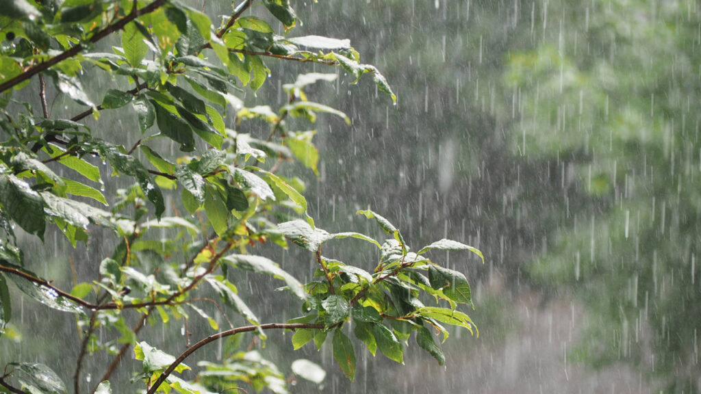 Tamaulipas en alerta por lluvias torrenciales y vientos fuertes