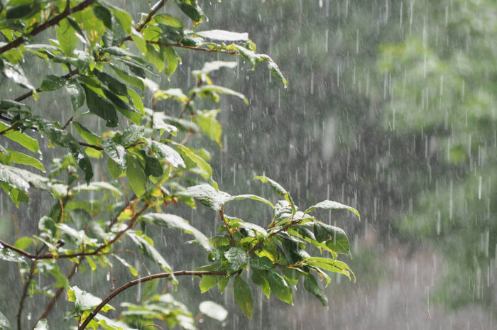 Tamaulipas en alerta por lluvias torrenciales y vientos fuertes