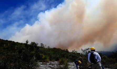 Incendio forestal arrasa 425 hectáreas en Miquihuana, Tamaulipas