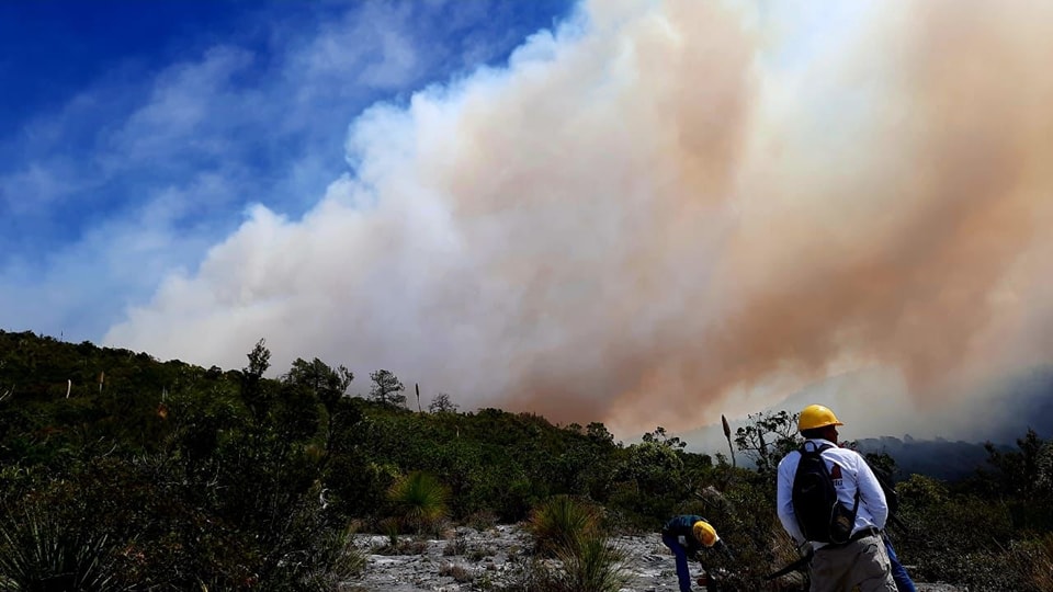 Incendio forestal arrasa 425 hectáreas en Miquihuana, Tamaulipas