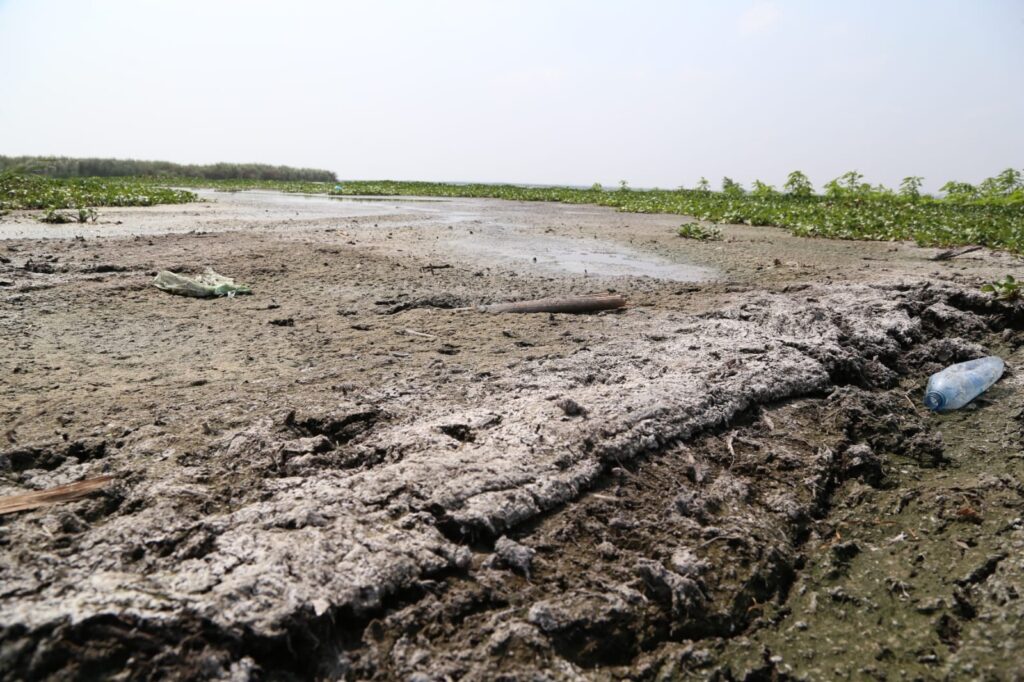 Sequía amenaza reservas: Altamira clama por lluvias urgentes