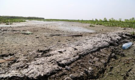 Sequía amenaza reservas: Altamira clama por lluvias urgentes