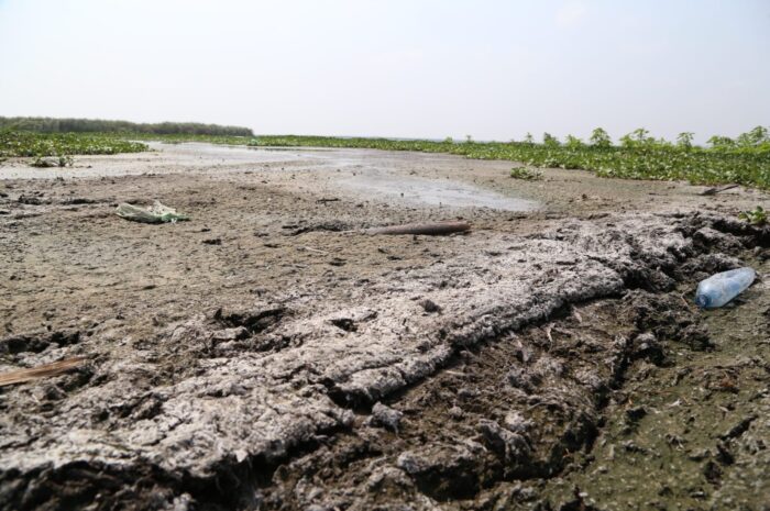 Sequía amenaza reservas: Altamira clama por lluvias urgentes