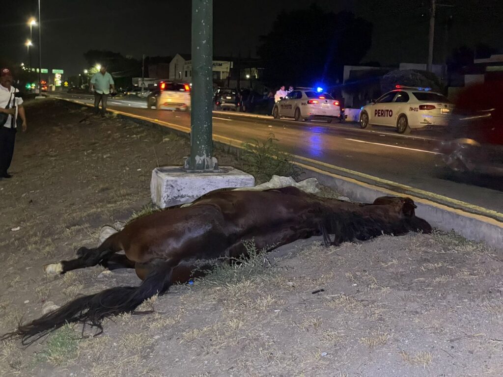 Trágico desenlace para joven jinete tras accidente en Ciudad Victoria