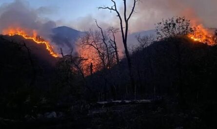 Avanza control del incendio en el Cañón del Novillo